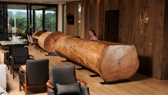 Meubles d'hôtel à partir d'un tronc d'arbre