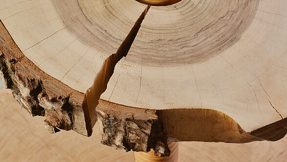 Portabottiglie di design da un tronco d'albero