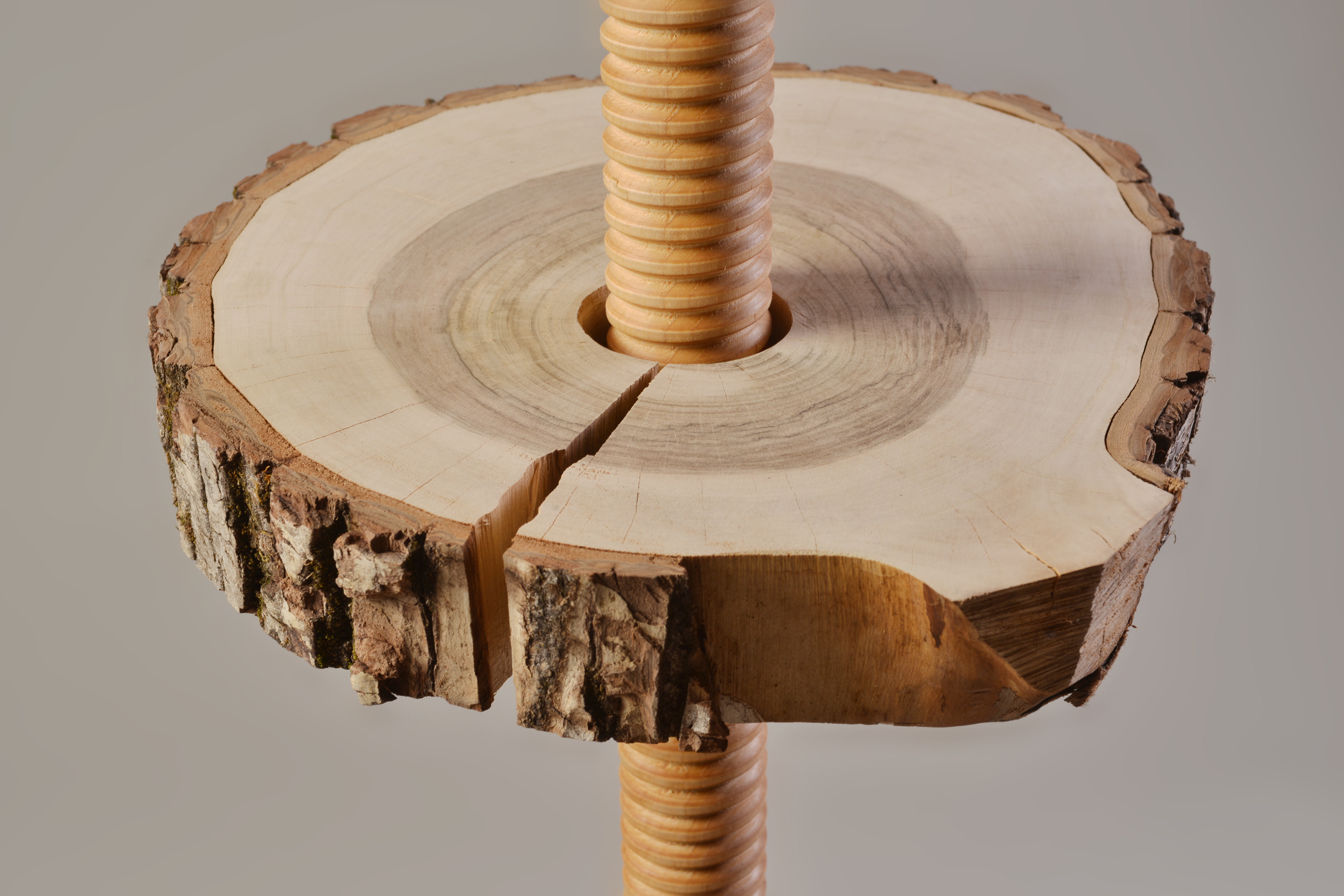 Portabottiglie di design da un tronco d'albero