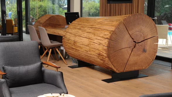Muebles de hotel de tronco de árbol