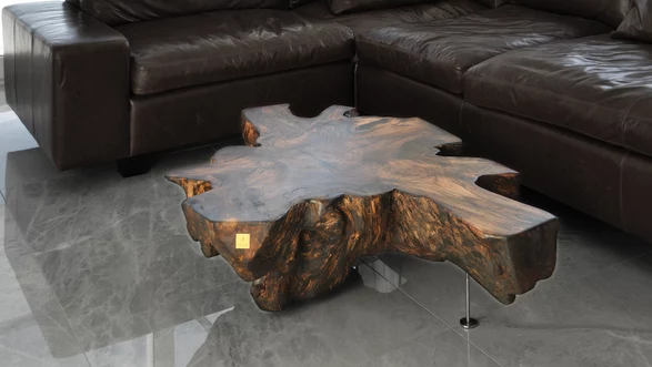 Design coffee table from a tree trunk