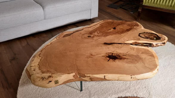 Table basse d'un tronc d'arbre