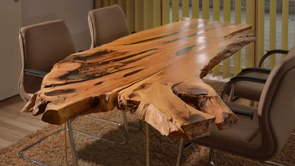Office tree trunk table from Stammdesign