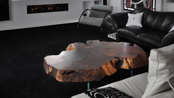 Table de tronc d'arbre pour le canapé