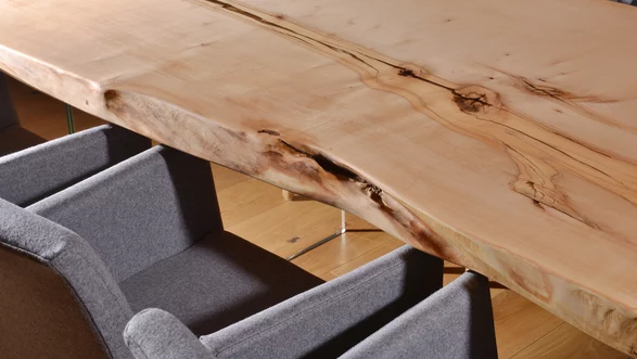 Meeting table from a tree trunk