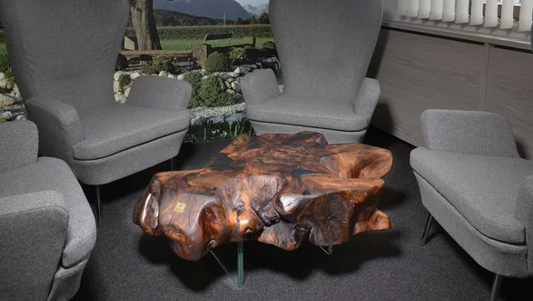 Coffee table from a tree trunk by Stammdesign
